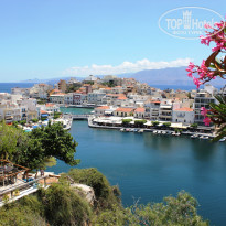 фото из отзыва ID 1555372