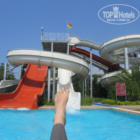 фото из отзыва ID 1555429