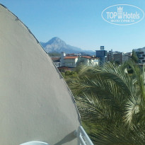 фото из отзыва ID 1555448