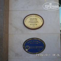 фото из отзыва ID 1555477