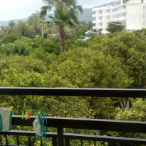 фото из отзыва ID 1555529