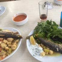 фото из отзыва ID 1555637