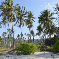 фото из отзыва ID 1555706