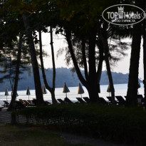 фото из отзыва ID 1555706