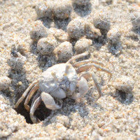 фото из отзыва ID 1555706