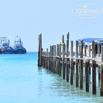 фото из отзыва ID 1555706