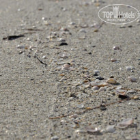 фото из отзыва ID 1555706