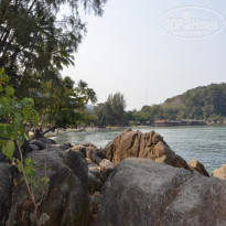 фото из отзыва ID 1555720