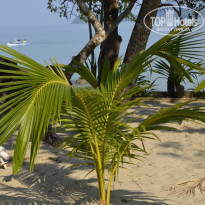 фото из отзыва ID 1555720