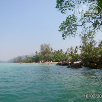 фото из отзыва ID 1555720