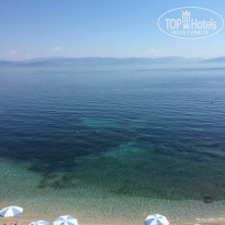 фото из отзыва ID 1555796