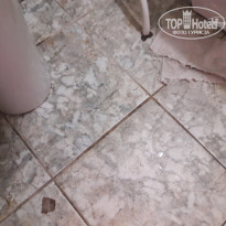 фото из отзыва ID 1555848