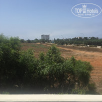 фото из отзыва ID 1555896