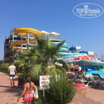 фото из отзыва ID 1556043