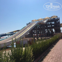 фото из отзыва ID 1556043