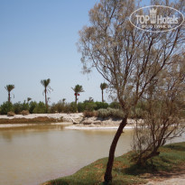 фото из отзыва ID 1554290