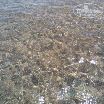 фото из отзыва ID 1556322