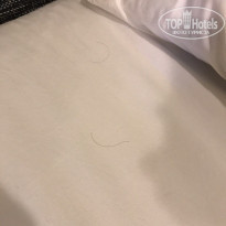 фото из отзыва ID 1556356