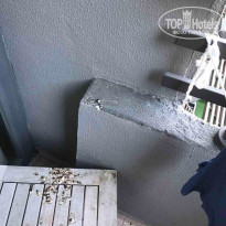 фото из отзыва ID 1556356