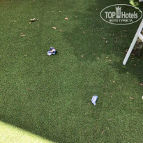 фото из отзыва ID 1556356