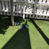 фото из отзыва ID 1556356