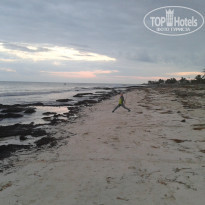 фото из отзыва ID 1556398