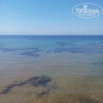 фото из отзыва ID 1556418