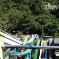 фото из отзыва ID 1556423