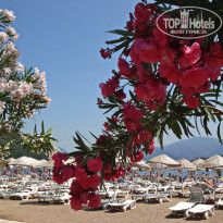 фото из отзыва ID 1556423