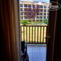 фото из отзыва ID 1556474