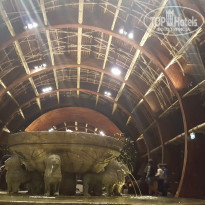 фото из отзыва ID 1556502