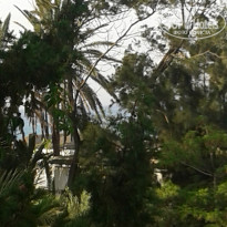 фото из отзыва ID 1556559