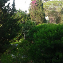 фото из отзыва ID 1556559