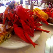 фото из отзыва ID 1556667