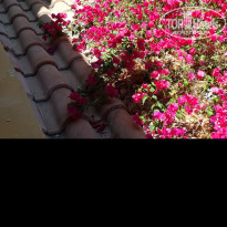 фото из отзыва ID 1556754