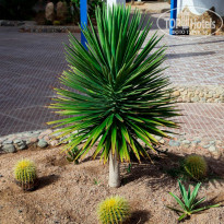 фото из отзыва ID 1556796