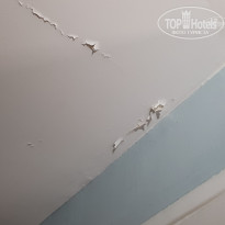 фото из отзыва ID 1556804