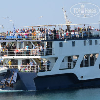 фото из отзыва ID 1556528