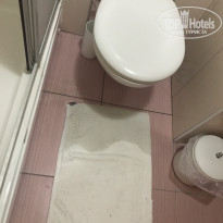 фото из отзыва ID 1556825