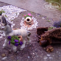 фото из отзыва ID 1556856