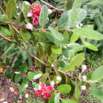 фото из отзыва ID 1556856