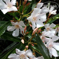 фото из отзыва ID 1556856