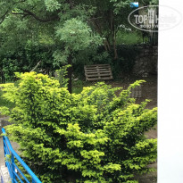 фото из отзыва ID 1556958