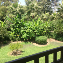 фото из отзыва ID 1557211