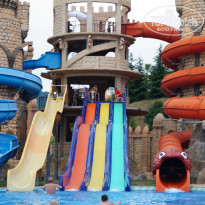 фото из отзыва ID 1557870