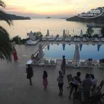 фото из отзыва ID 1558361