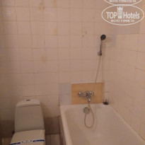 фото из отзыва ID 1558575