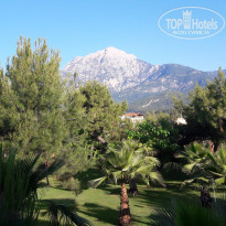 фото из отзыва ID 1558634