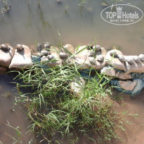 фото из отзыва ID 1558713