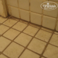 фото из отзыва ID 1558752